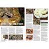 Practical Reptile Keeping - Issue 3 Boas photo