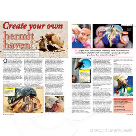 Practical Reptile Keeping - Issue 3 Hermit Haven
