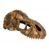 Exo Terra T-Rex Skull - Small