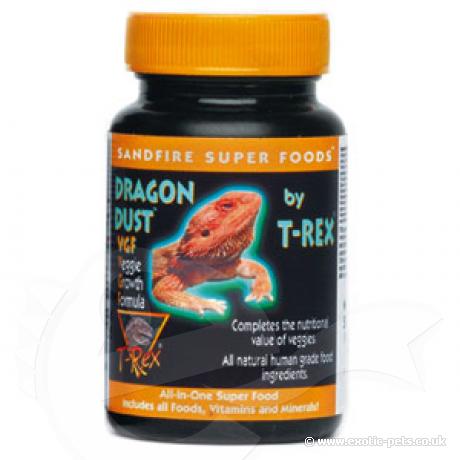 T-Rex Sandfire Bearded Dragon VGF Dust