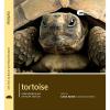 Pet Expert - Tortoise - Pet Expert - Tortoise