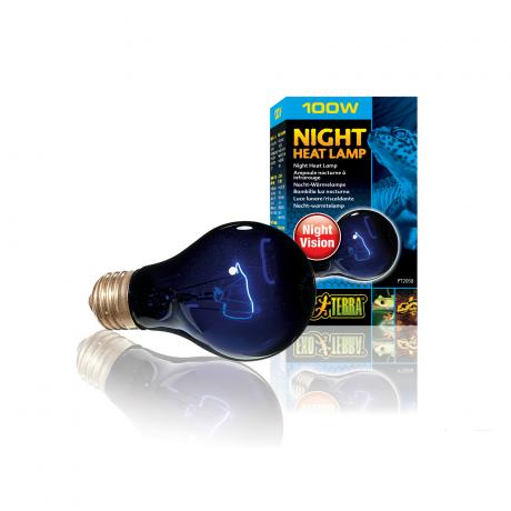 Exo Terra Night Heat Lamp