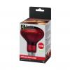 Reptile Systems Infrared Heat Lamp - Screw (ES) 100w