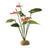 Exo Terra Anthurium Bush - Exo Terra Anthurium Bush