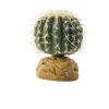 Exo Terra Barrel Cactus - Small (10 x 8cm) 