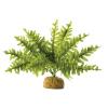 Exo Terra Boston Fern - Small