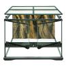 Exo Terra Glass Terrarium - Small/Low (45 x 45 x 30cm)