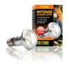 Exo Terra Intense Basking Spot - Screw (ES) 75w