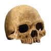 Exo Terra Primate Skull - Large