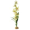 Exo Terra Spider Orchid - Exo Terra Spider Orchid