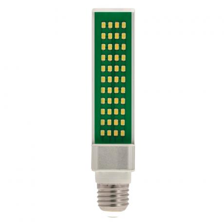 Reptile Systems New Dawn Compact