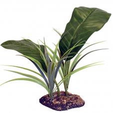 Komodo Evergreen Canopy (Standing plant)