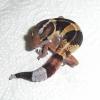 African Fat Tailed Gecko - Normal Striped photo