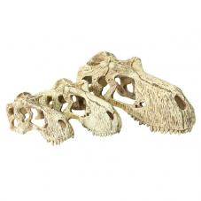 Komodo T-Rex Skull (Secure hiding place)