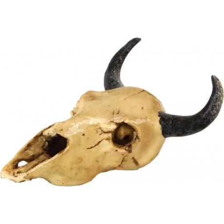 Repstyle Skull Goat