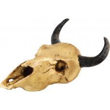 Repstyle Skull Goat (Secure hiding place)