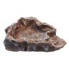 Komodo Terraced Dish - Small Brown (18 x 15.5 x 5cm)