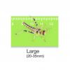 Locusts or Hoppers - Large (Pre-pack)