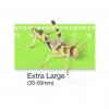 Live Locusts or Hoppers - Extra Large (Pre-pack) Approx 8 per tub