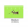 Live Locusts or Hoppers - Medium (Pre-pack)