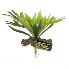 Zoo Med Naturalistic Flora Staghorn Fern (Ground plants)