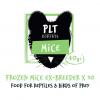Frozen Mice - Ex Breeder 40g+ (10-pack)