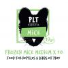Frozen Mice - Medium 20g+ (10-pack)