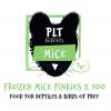 Frozen Mice - Pinkies 1g+ (100-pack)