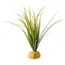 Exo Terra Turtle Grass (Ground plants)