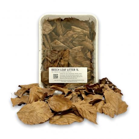 Exotic Pets Beech Leaf Litter