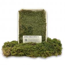 Exotic Pets Living Forest Moss
