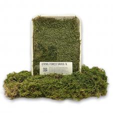 Exotic Pets Living Forest Moss (Natural terrarium decor)