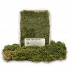 Exotic Pets Living Forest Moss - 1 Litre