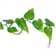 Lucky Reptile Philo Vine (Hanging plant)