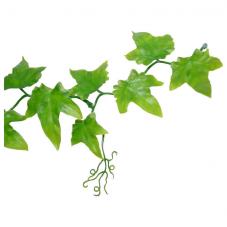 Lucky Reptile Ivy Vine (Hanging plant)