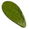 Prickly Pear Cactus Pads - 751g-1kg