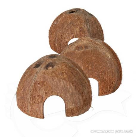 Trixie Coconut Shell Hideaway