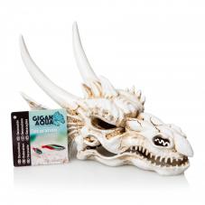 Giganterra Dragon Skull (Decorative skeleton)