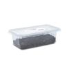 Live Calci Worms - (10mm) Approx 50g per Tub