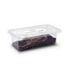 Live Small Earthworms - (50-75mm) Approx 15 - Tub