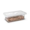 Live Mealworms - Regular (18-26mm) Approx 60g per Tub