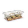 Live Locusts or Hoppers - 3rd Medium (18-24mm) Approx 22 - Super-Pack