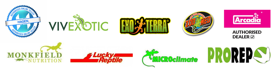 Exotic Pets Amphibian Reptile And Invert Uk Exotic Pet Shop